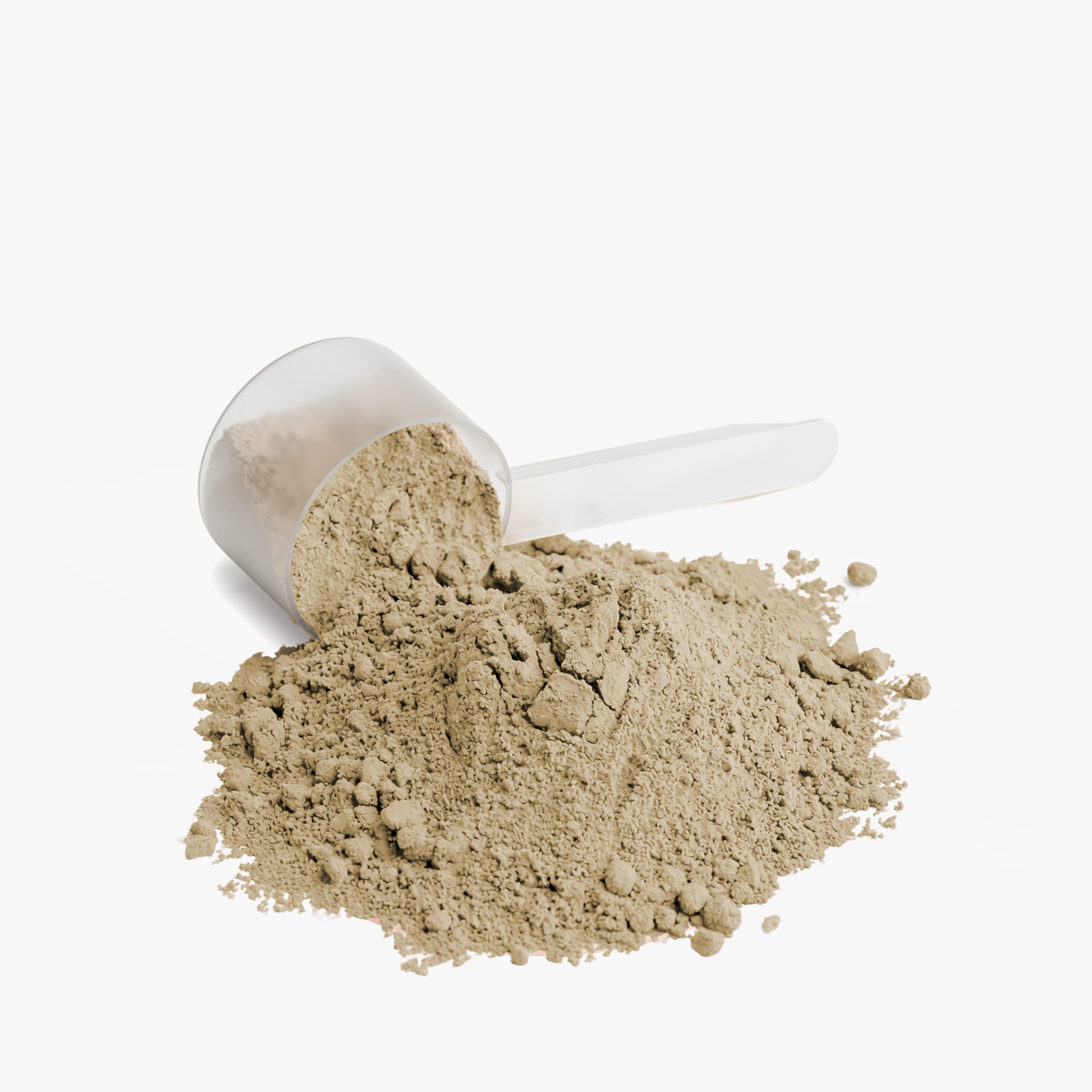 Plant Protein (Vanilla)