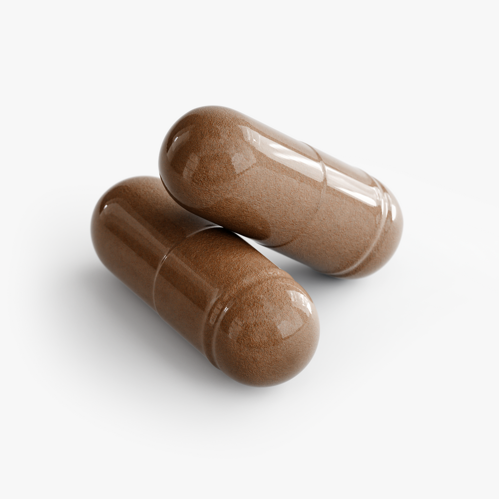 Prostate Support